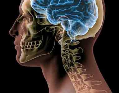 Head & Neck Pathology